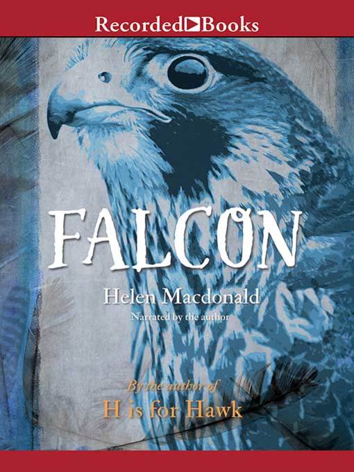 Falcon