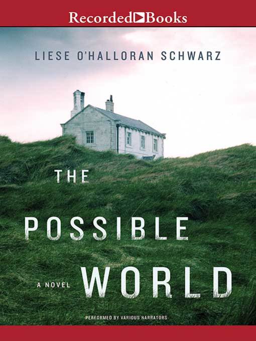 The Possible World