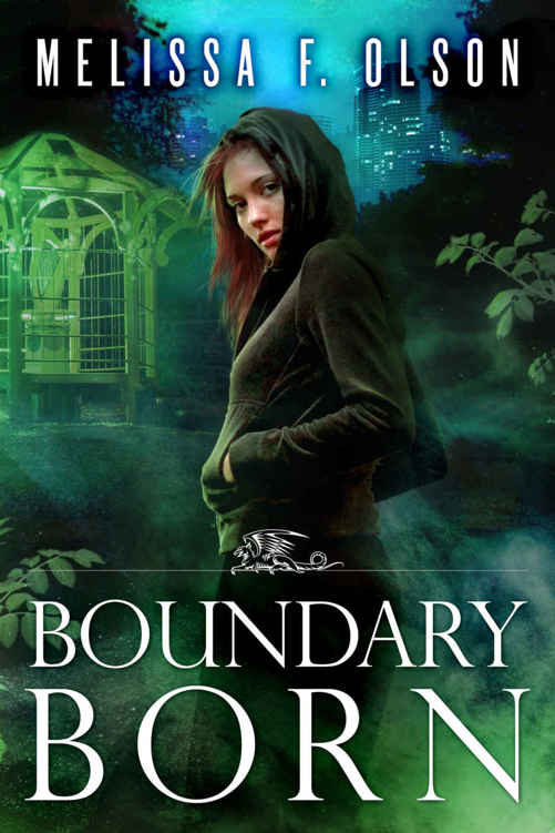 Boundary Born