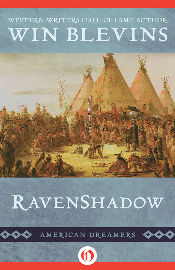 RavenShadow