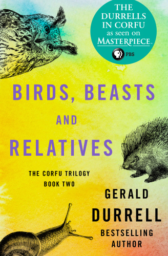 Birds, Beasts and Relatives