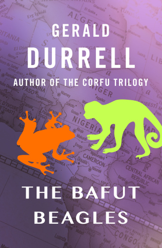 The Bafut Beagles