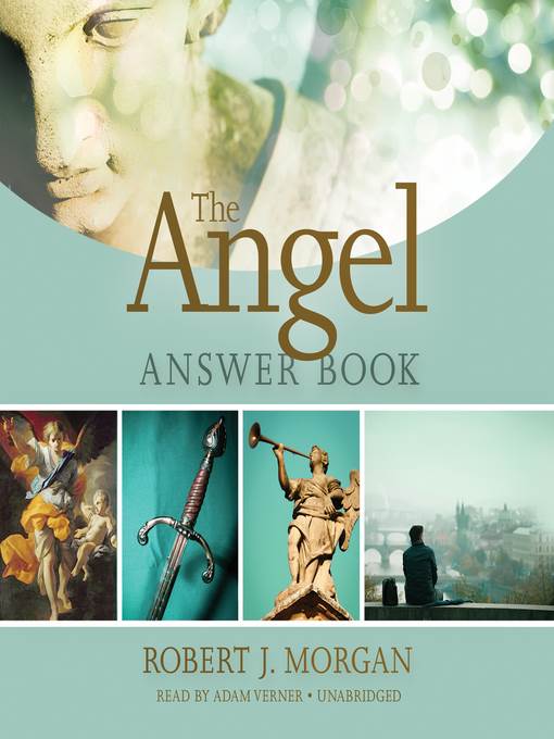 The Angel Answer Book