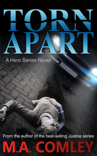 Torn Apart (A Hero Series) (Volume 1)