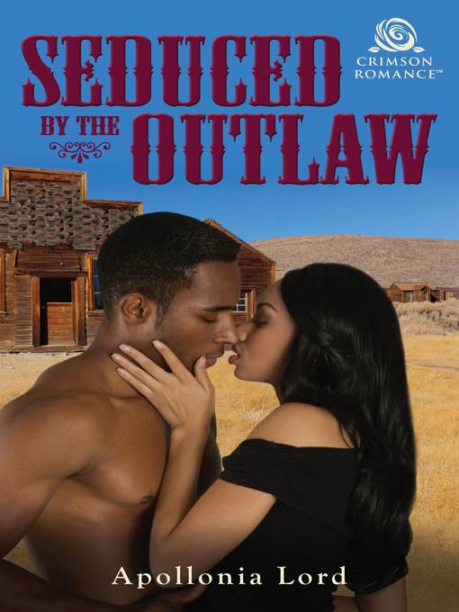 Seduced by the Outlaw