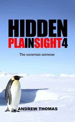 Hidden In Plain Sight 4