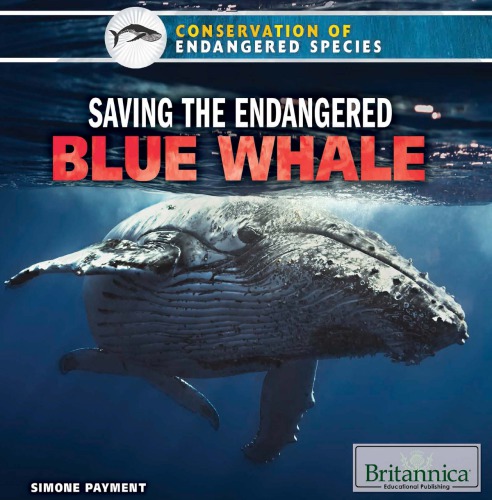 Saving the Endangered Blue Whale