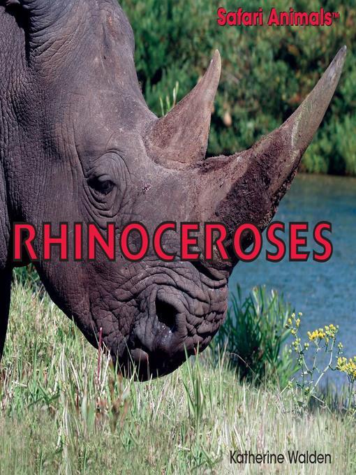 Rhinoceroses