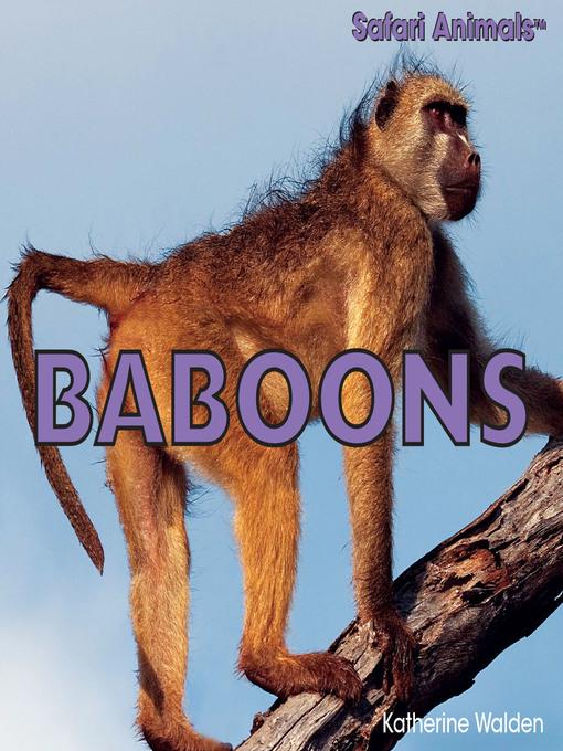 Baboons