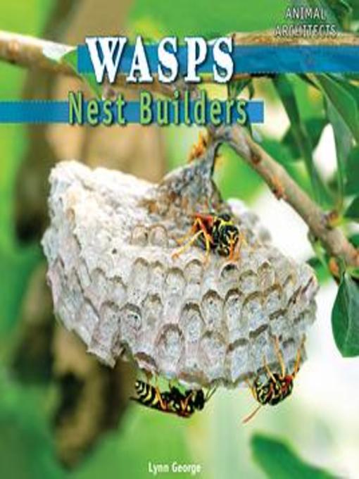 Wasps
