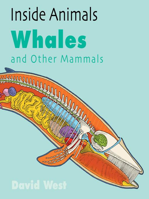 Whales and Other Mammals