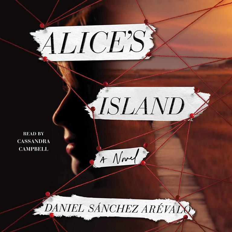 Alice's Island: A Novel