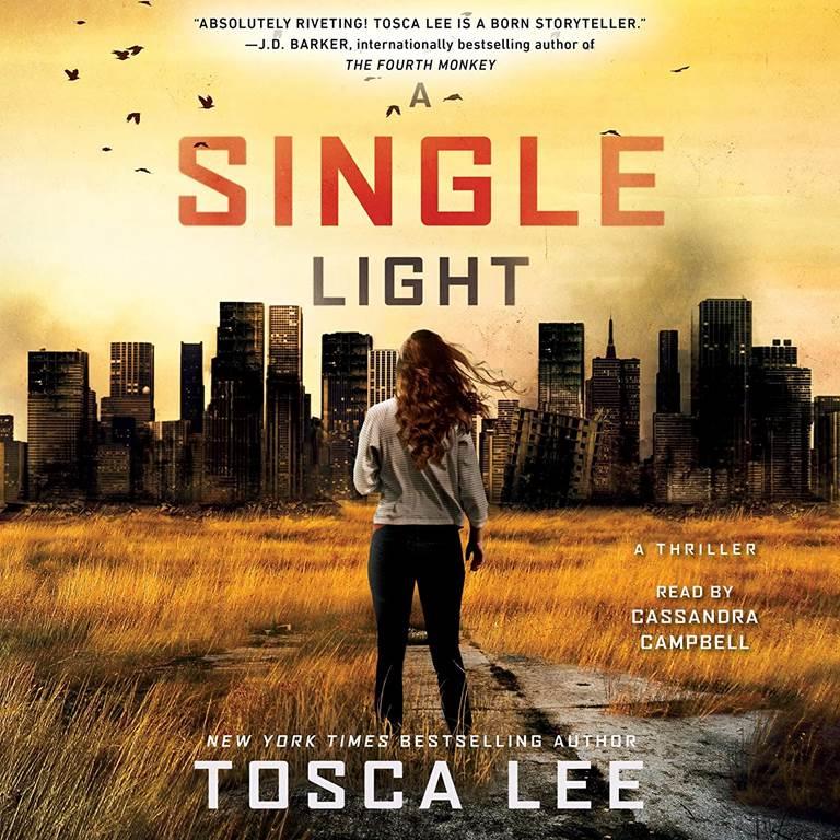 A Single Light: A Novel: The Line Between Series, book 2 (Line Between Series, 2)