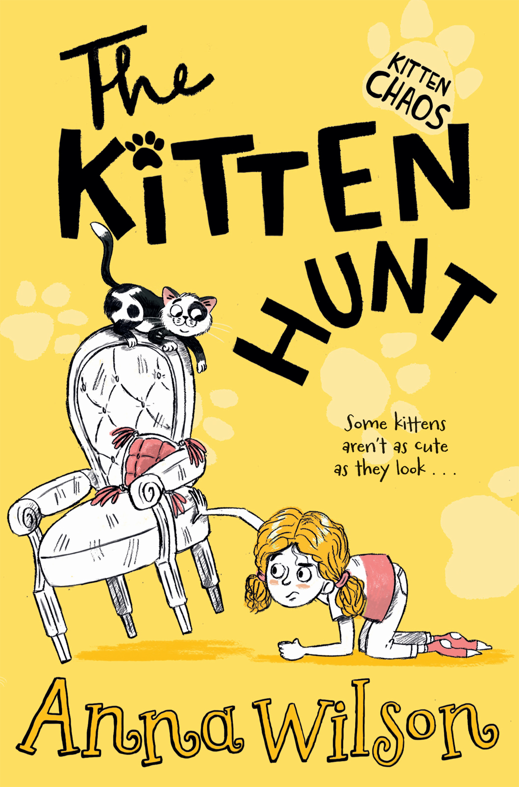 The kitten hunt