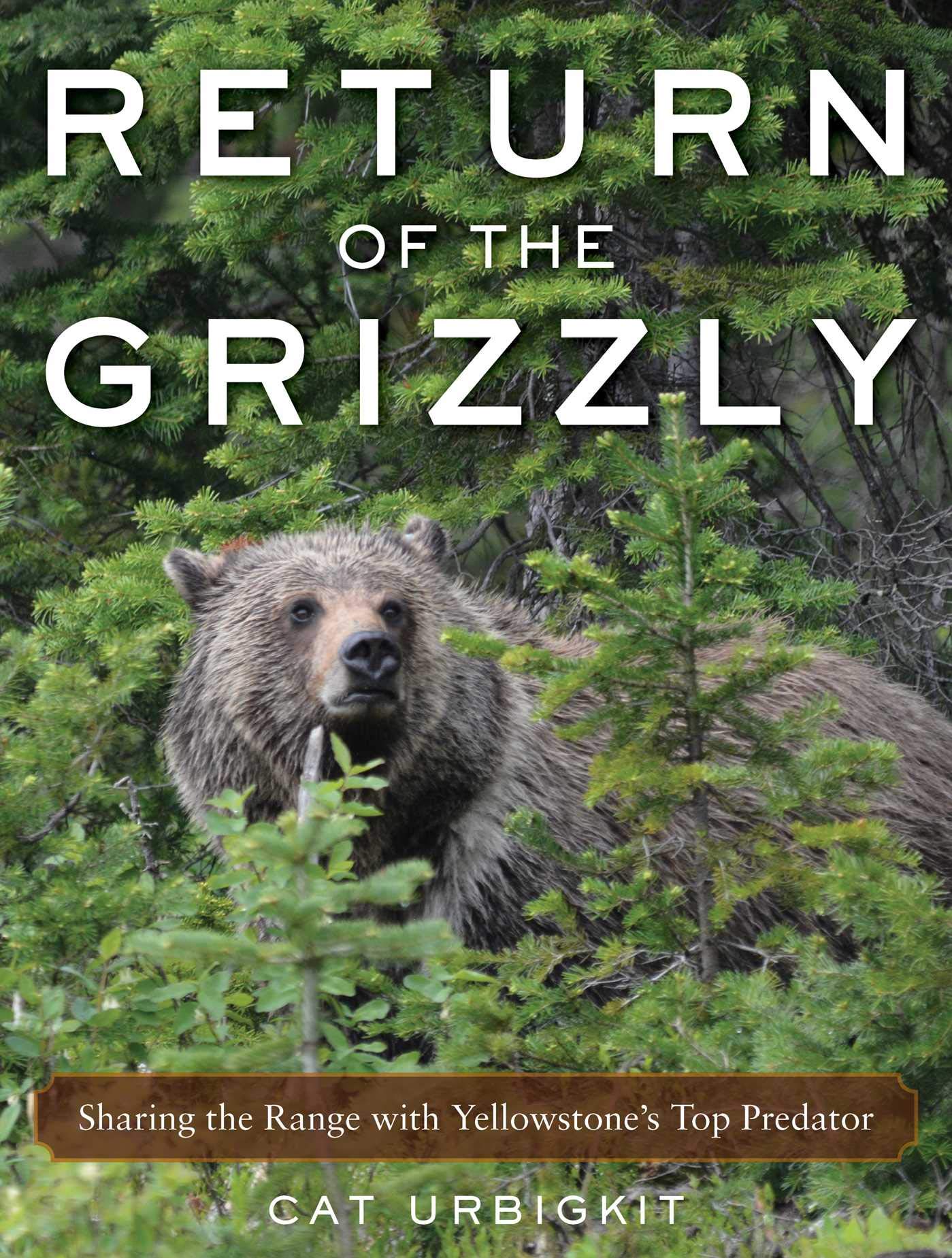 Return of the Grizzly