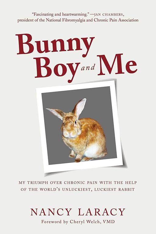 Bunny Boy and Me: My Triumph over Chronic Pain with the Help of the World's Unluckiest, Luckiest Rabbit