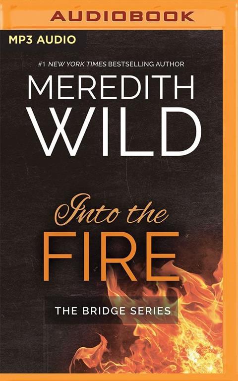 Into the Fire (The Bridge)