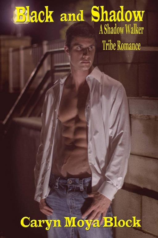 Black and Shadow (Shadow Walker Romance Series) (Volume 3)