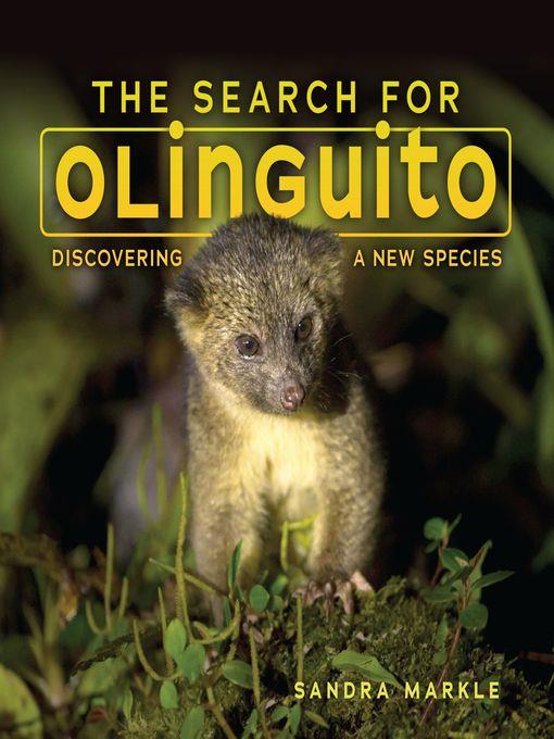 The Search for Olinguito