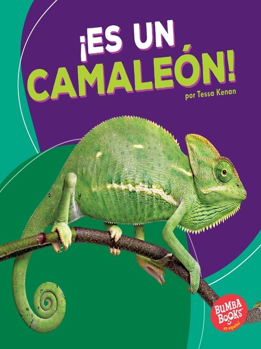 ¡Es un camaleón! (It's a Chameleon!)