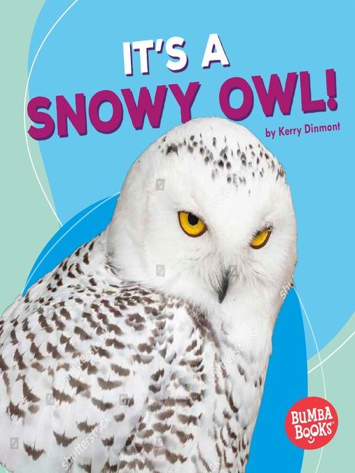 It's a Snowy Owl!