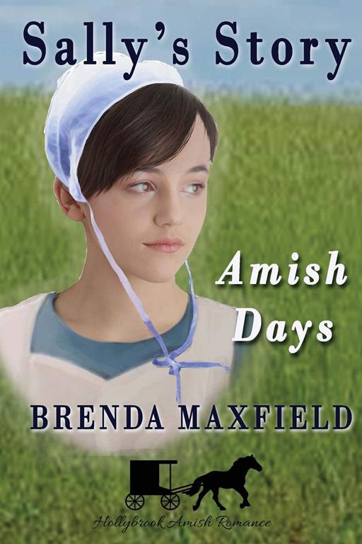 Amish Days: Sally's Story: Amish Romance Boxed Set (Hollybrook Amish Romance)