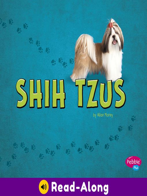 Shih Tzus