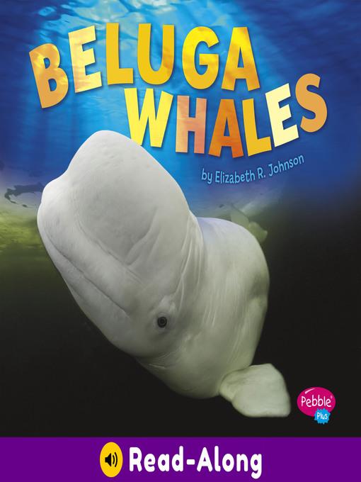 Beluga Whales