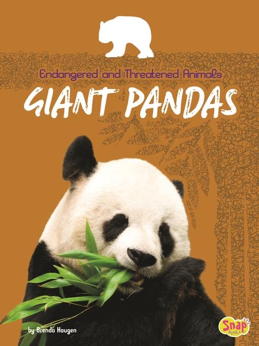 Giant Pandas