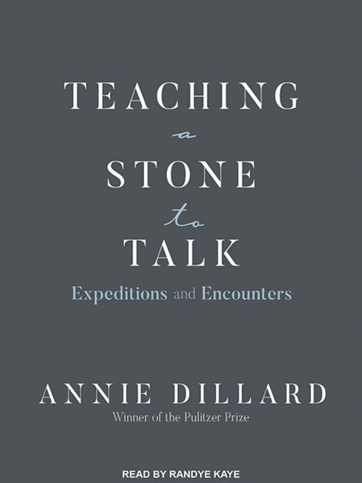 Teaching a Stone to Talk