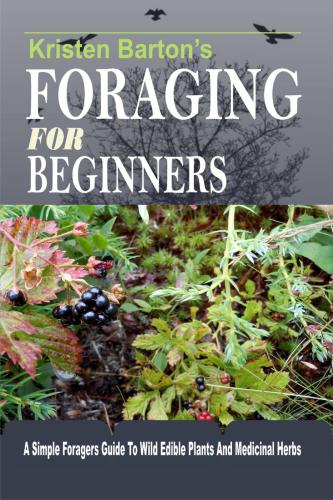 Foraging For Beginners