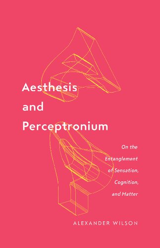 Aesthesis and Perceptronium