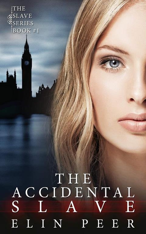 The Accidental Slave: (Aya's story) (The Slave Series) (Volume 1)