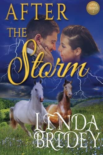 After the Storm: Clean Historical Western Cowboy Romance Novel (Dawson Chronicles) (Volume 2)