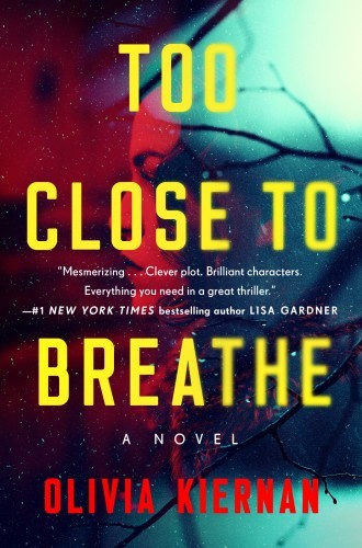 Too Close to Breathe: A Novel