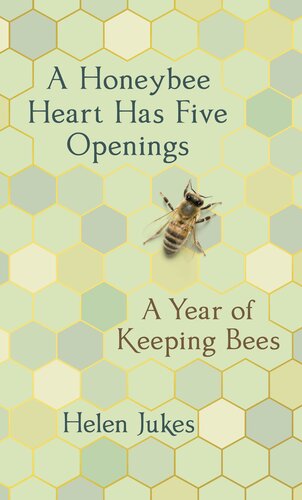 A Honeybee Heart Has Five Openings