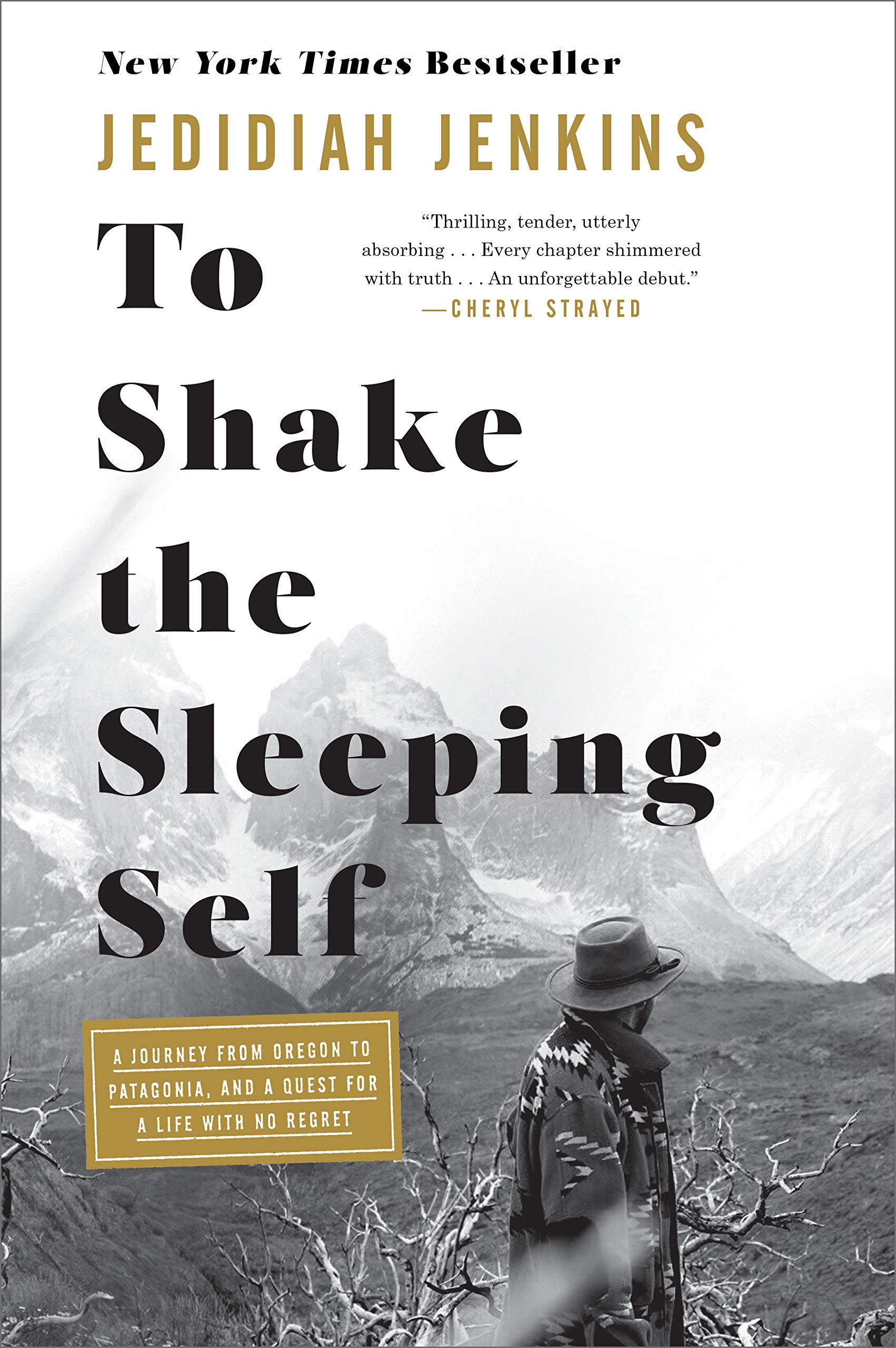 To Shake the Sleeping Self: A Journey from Oregon to Patagonia, and a Quest for a Life with No Regret