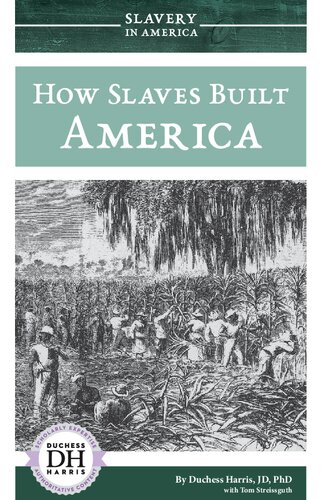 How Slaves Built America