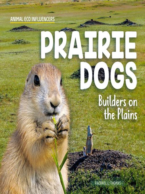 Prairie Dogs
