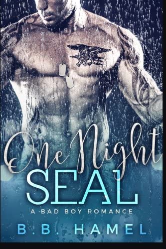 One Night SEAL: A Bad Boy Romance