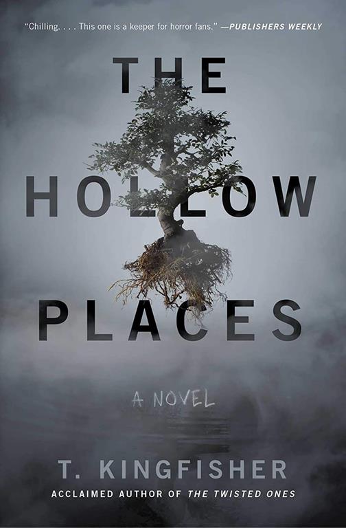 The Hollow Places: A Novel