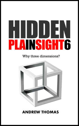 Hidden In Plain Sight 6