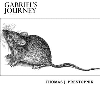 Gabriel's Journey