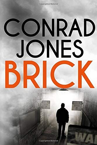 Brick (The Inspector Braddick series)