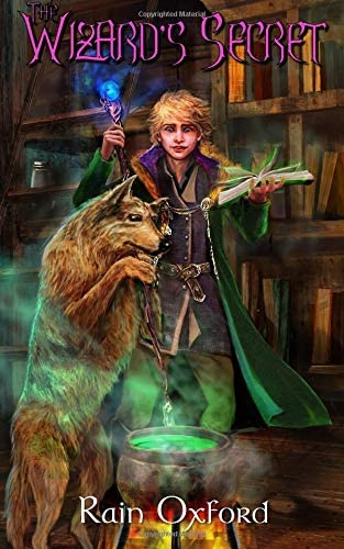 The Wizard's Secret (The Sorcerer's Saga) (Volume 2)