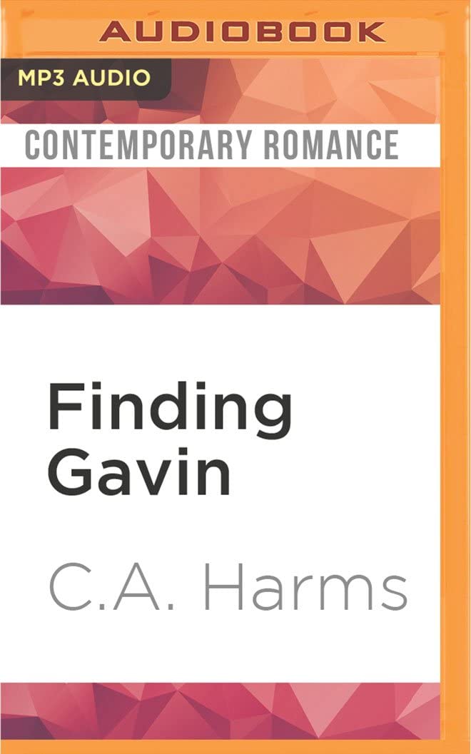 Finding Gavin (Southern Boys)