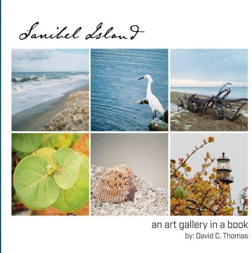 Sanibel Island: An Art Gallery in a Book (Volume 1)