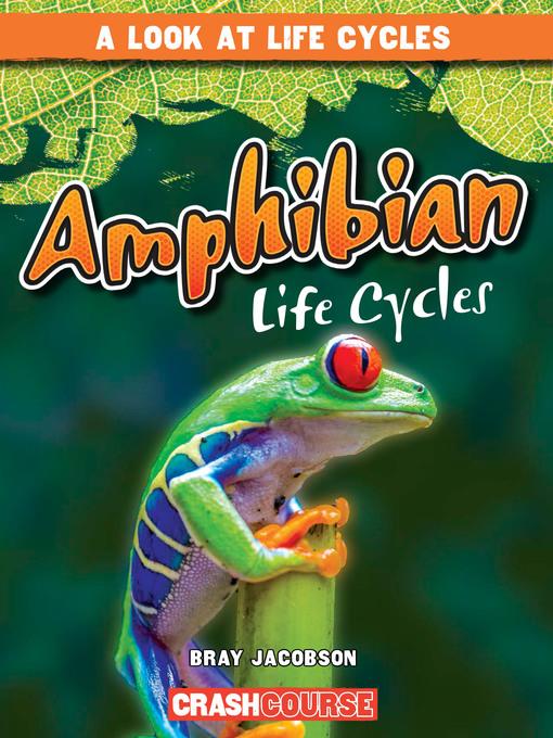 Amphibian Life Cycles