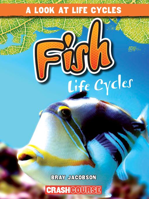 Fish Life Cycles