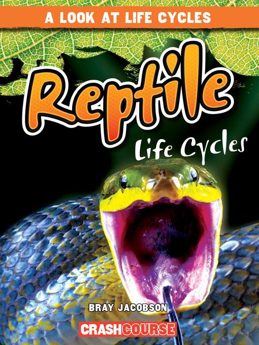 Reptile Life Cycles